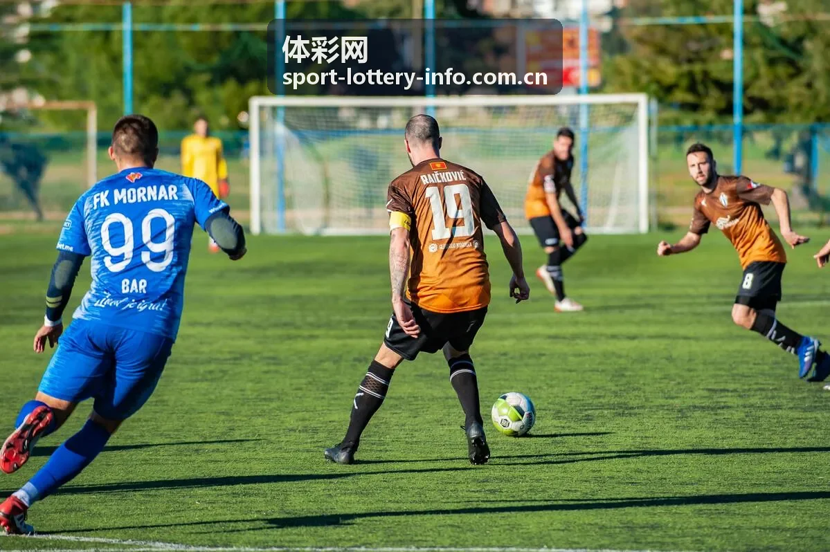 体彩网品牌介绍：体育彩票信息综合查询服务